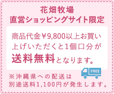 商品代金￥10,000円以上お買い上げいただくと送料無料になります。