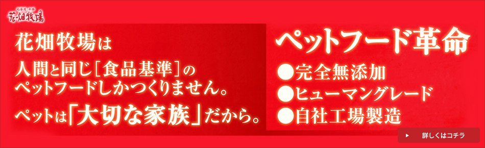 インターペット特設LP