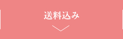 送料込み