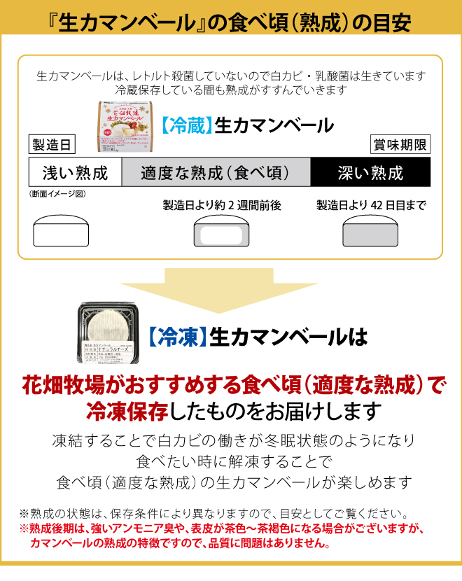 冷凍生カマンベール26g×10個セット