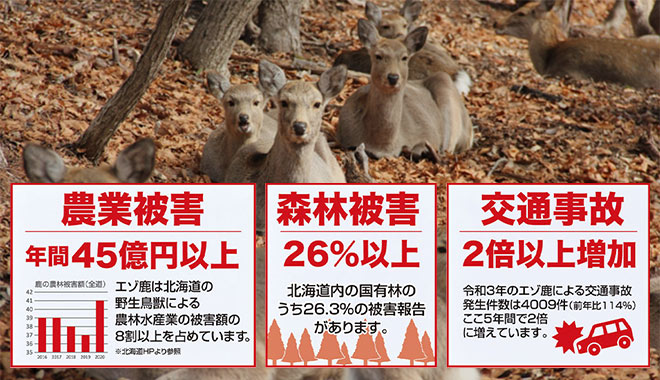 花畑牧場 北海道エゾ鹿肉のジャーキー20g【冷蔵配送】|通販 花畑牧場 北海道エゾ鹿肉のジャーキー20g【冷蔵配送】|通販